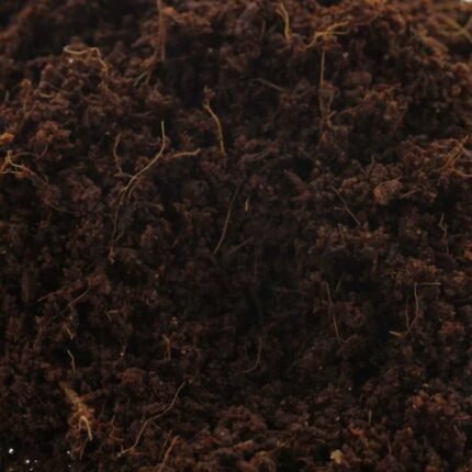 BioBizz Coco Mix 50L