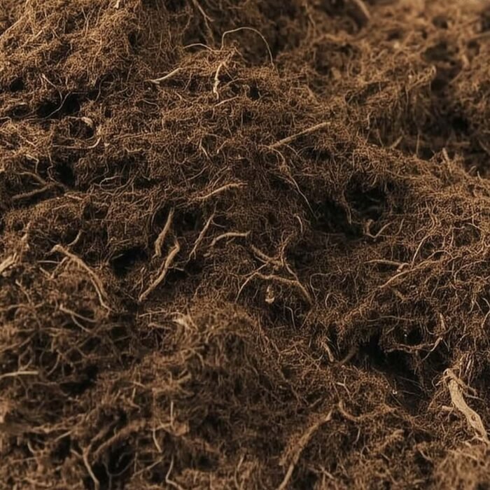 BIOCANNA Bio Terra Plus Erde