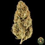 Jack Herer Cannabis Strains