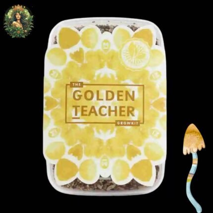 Magic Mushroom Growkit Golden Teacher