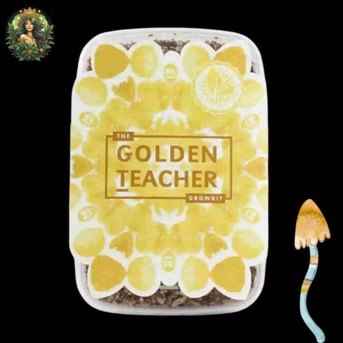 Magic Mushroom Growkit Golden Teacher
