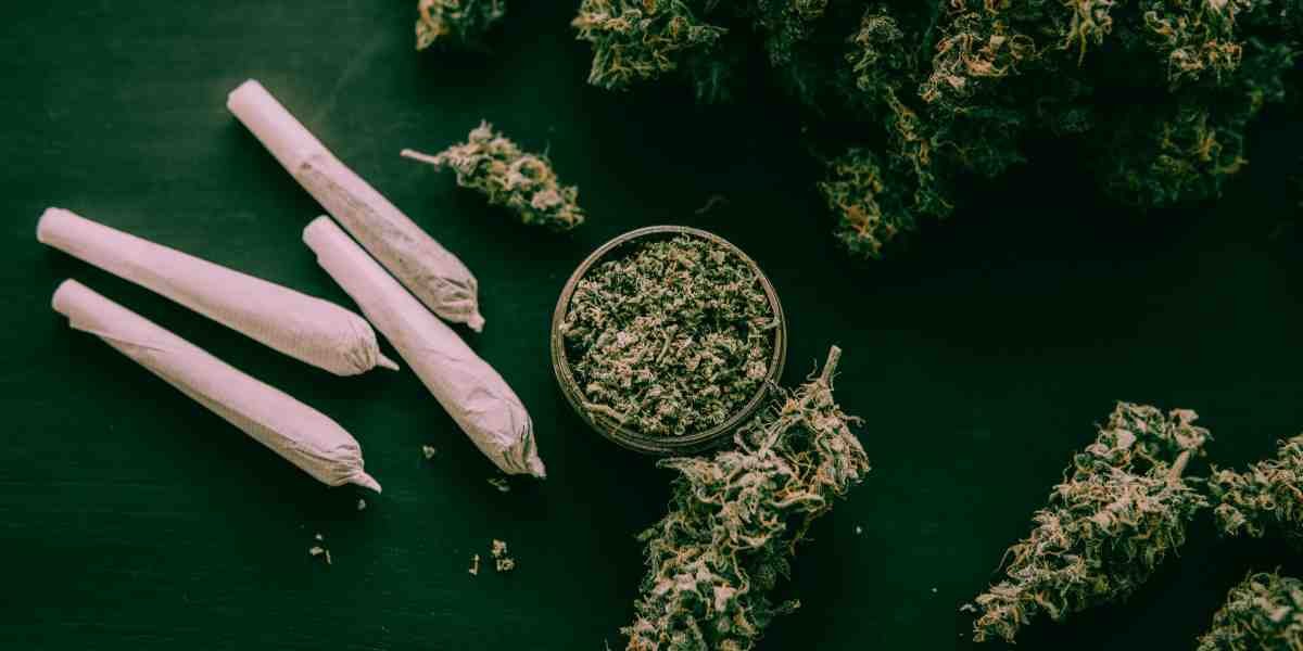 Cannabis Legalisierung in Deutschland