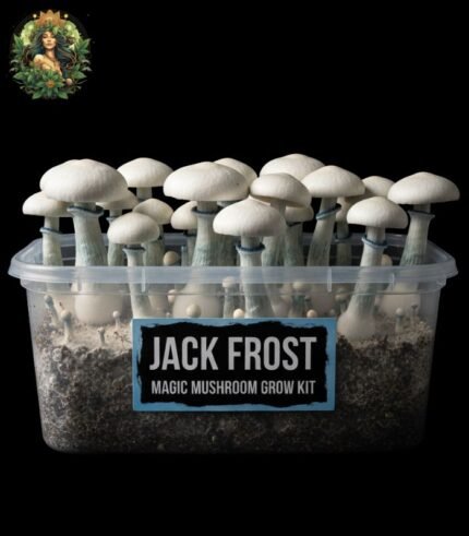 Jack Frost Mushroom Growkit