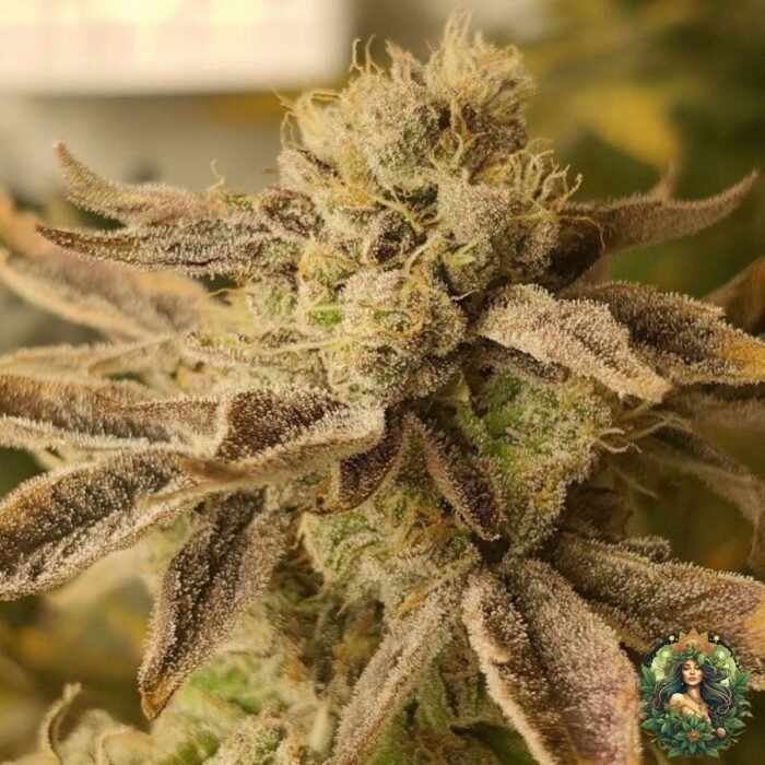 Emergen-C Strains