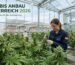 Cannabis Anbau Österreich 2026