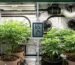 Growbox Luftfeuchtigkeit