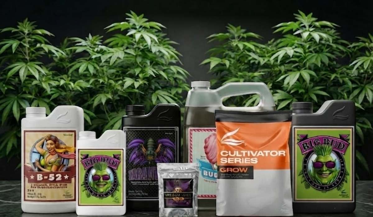 Advanced Nutrients Duenger Sortiment B-52 Big Bud Tarantula und Cultivator Series vor Cannabispflanzen