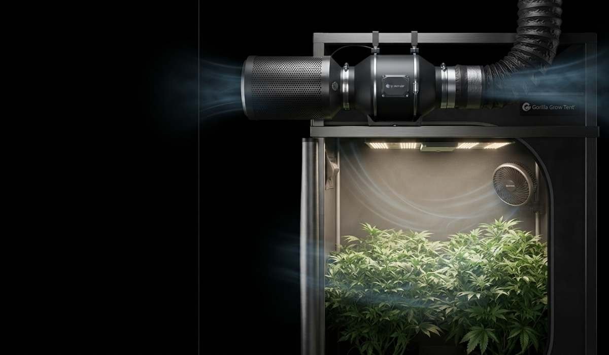 Growbox mit optimaler Luftzirkulation durch Umluftventilator und Abluftsystem im Querschnitt