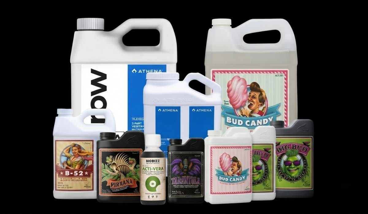 Cannabis Duenger Sortiment mit Advanced Nutrients BioBizz und Big Bud Flaschen fuer Hanfpflanzen