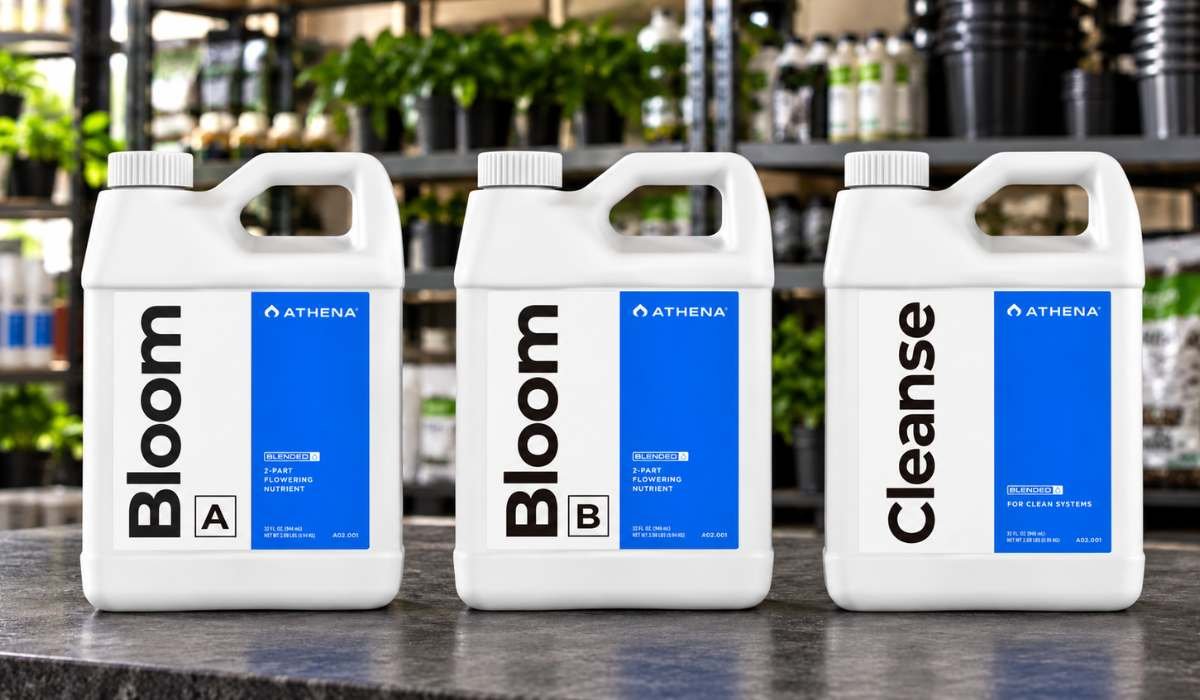 Athena Blended Bloom A, Bloom B und Cleanse Kanister im Growshop
