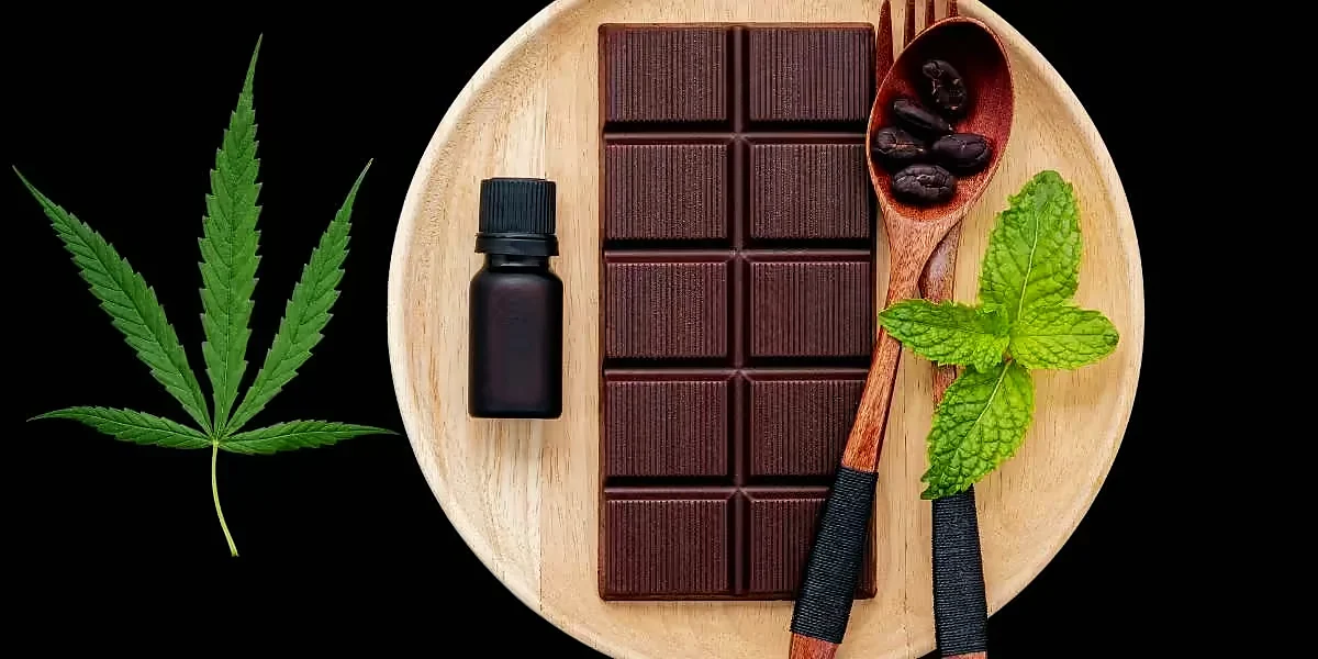 Edibles – Cannabis zum Essen 8 Edibles mit Schokolade und Öl: Schokoladentafel, Tropfflasche, Kakaobohnen und Cannabisblatt