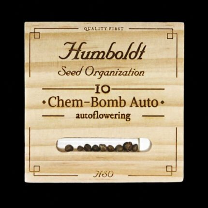 Chem-Bomb Auto Humboldt Seeds