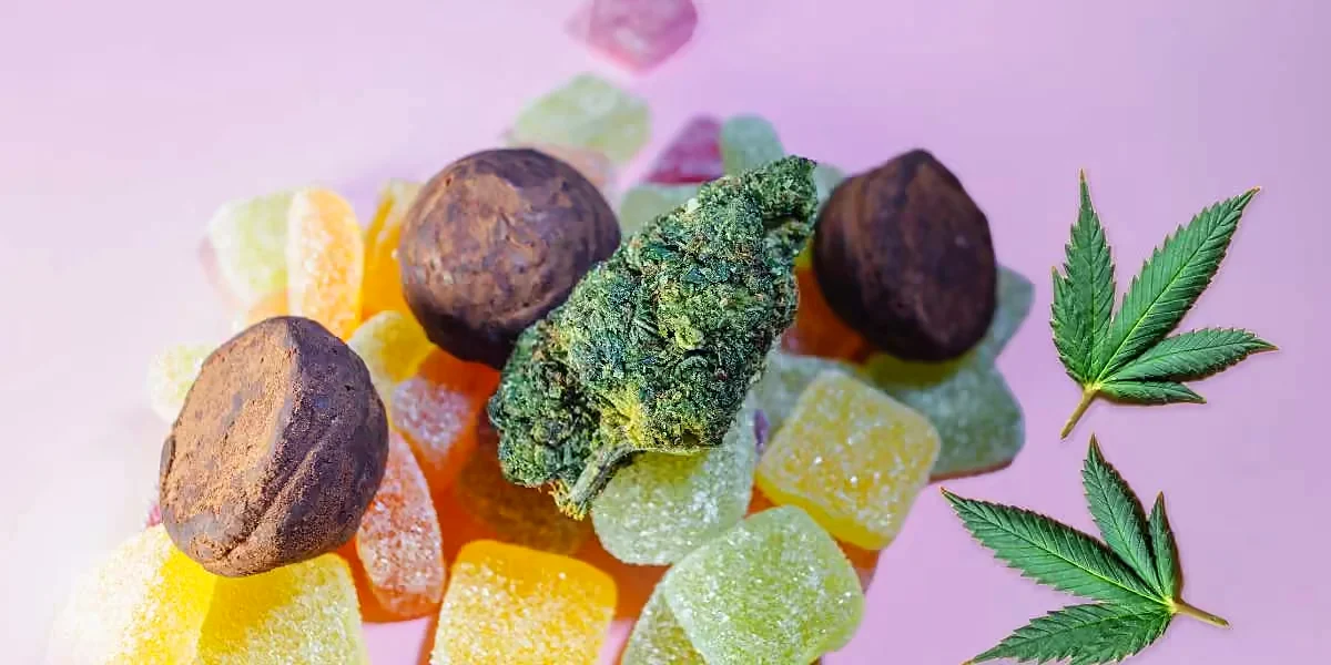 Edibles – Cannabis zum Essen 3 Edibles: bunte Fruchtgummis, Kakao-Pralinen und eine Hanfblüte mit Cannabisblättern