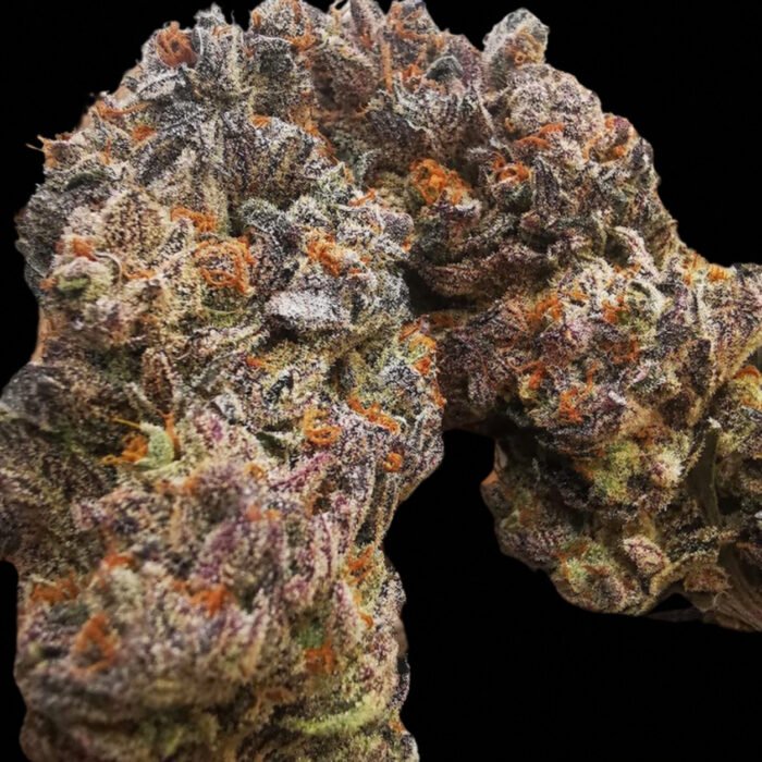 Humboldt Seeds Florida Gaspack