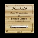 Lemon Citron | Humboldt Seeds - Cannabissamen