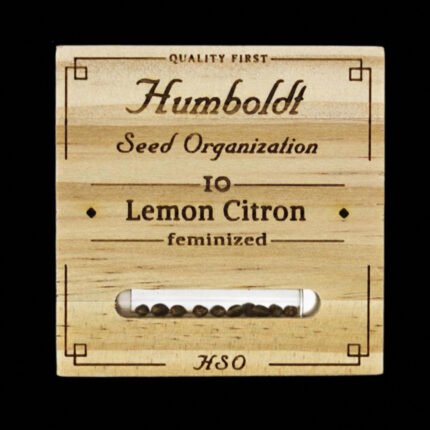 Lemon Citron | Humboldt Seeds - Cannabissamen