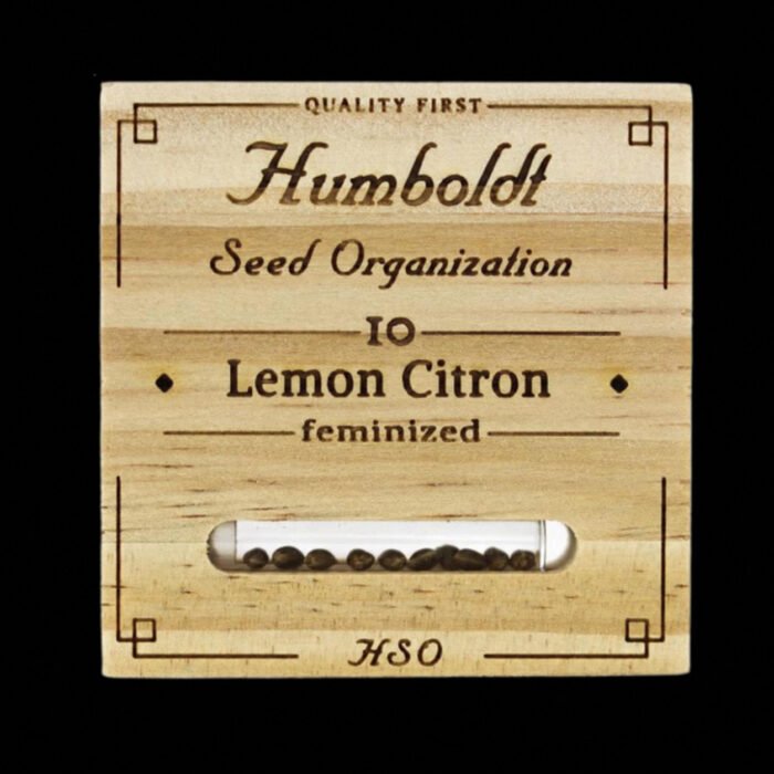 Lemon Citron | Humboldt Seeds - Cannabissamen