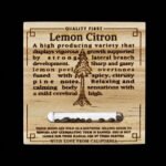 Lemon Citron | Humboldt Seeds - Cannabissamen