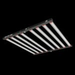 Lumen King 1000W LED