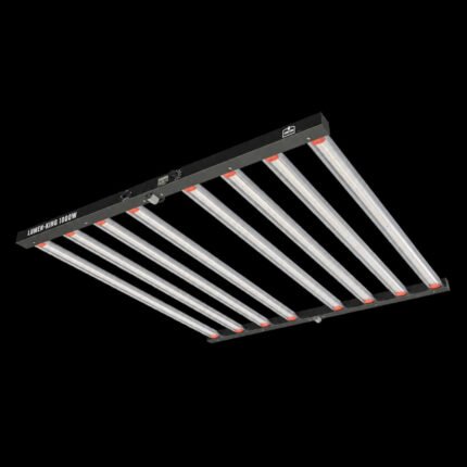 Lumen King 1000W LED