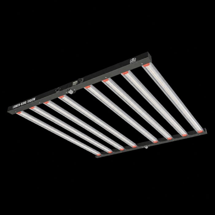 Lumen King 1000W LED