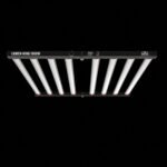 Lumen King 1000W LED