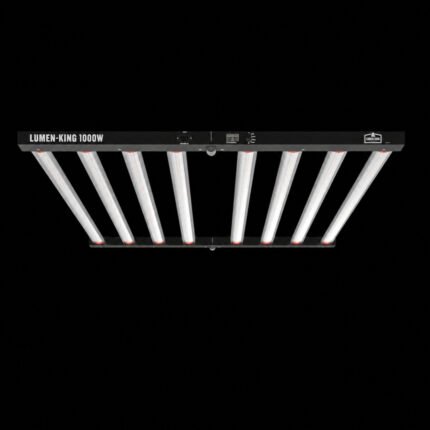 Lumen King 1000W LED