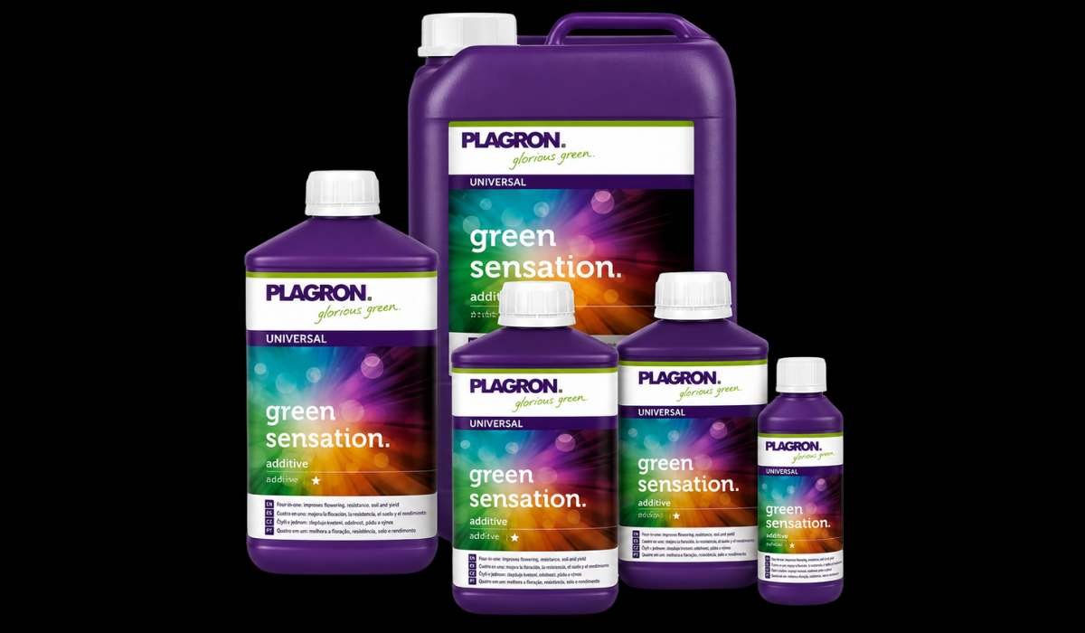 Plagron Green Sensation 4-in-1 Blühbooster in verschiedenen Gebindegrößen bis 5 Liter