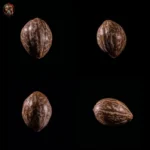 Bubba Kush Cannabis Seeds